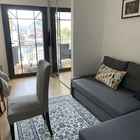 Apartman T3 Au Centre D'arcachon Avec Terrasse, Parking Et Wi-fi - Fr-1-374-181 Arcachon