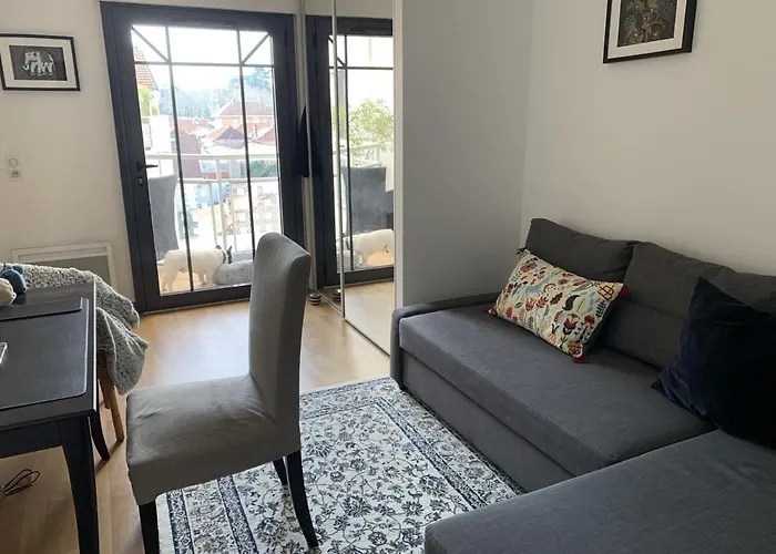 Lägenhet T3 Au Centre D'arcachon Avec Terrasse, Parking Et Wi-fi - Fr-1-374-181 Arcachon